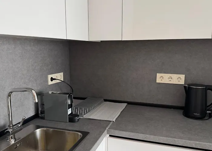 Modern And Cozy In The Centre 公寓